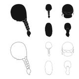 Light braid, fish tail and other types of hairstyles. Back hairstyle set collection icons in black,outline style vector vector illustration Light braid, fish tail and other types of hairstyles. Back hairstyle set collection icons in black,outline style vector vector illustration