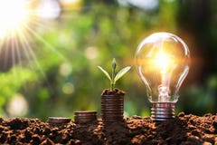 light bulb on soil with young plant growing on money stack. saving finance and energy