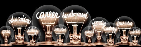 Light Bulbs with Career Development Concept Royalty Free Stock Photo