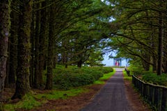 Light from Cape Meares Lighthouse at end of path stock photo Light from Cape Meares Lighthouse at end of path stock photo