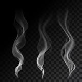 Light cigarette smoke waves on transparent background vector illustration