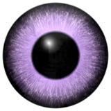 Light pink and purple eye texture stock illustration Light pink and purple eye texture stock illustration