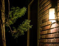 Light and Tree on Brick Wall stock image Light and Tree on Brick Wall stock image