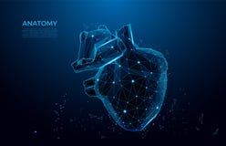 Lignes et triangles humaines de forme d'anatomie de coeur Organe 3D humain polygonal sur le fond bleu art de maille illustration stock Lignes et triangles humaines de forme d'anatomie de coeur Organe 3D humain polygonal sur le fond bleu art de maille illustration stock