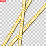 Lignes noires et jaunes de précaution d'isolement illustration de vecteur Lignes noires et jaunes de précaution d'isolement illustration de vecteur
