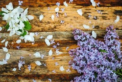 Lilac and apple flowers on wooden table royalty free stock photo Lilac and apple flowers on wooden table royalty free stock photo