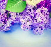 Lilac bloemen over blauwe houten achtergrond royalty-vrije stock afbeeldingen Lilac bloemen over blauwe houten achtergrond royalty-vrije stock afbeeldingen