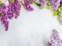 lilac flower summer decoration on concrete frame background design bouquet royalty free stock photography lilac flower summer decoration on concrete frame background design bouquet royalty free stock photography