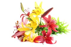 Lily Bouquet Lily Bouquet
