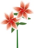 Lily Double Stem Red stock illustration Lily Double Stem Red stock illustration