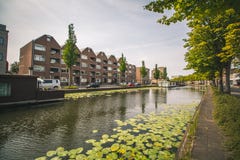 Lily Pads en un canal en Rotterdam, Países Bajos foto de archivo Lily Pads en un canal en Rotterdam, Países Bajos foto de archivo