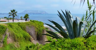 lima Перу Взгляд и общественный парк Тихоокеанского побережья в районе Miraflores стоковые изображения lima Перу Взгляд и общественный парк Тихоокеанского побережья в районе Miraflores стоковые изображения