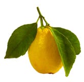 Limón Limón