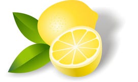 Limón ilustración del vector Limón ilustración del vector