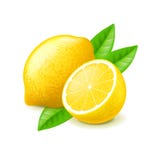 Limón y rebanada en el vector blanco stock de ilustración Limón y rebanada en el vector blanco stock de ilustración