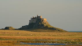 Lindisfarne-Schloss steht allein am Rand der heiligen Insel stockfotografie Lindisfarne-Schloss steht allein am Rand der heiligen Insel stockfotografie