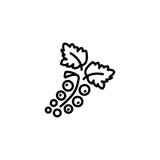 Line icon. Currants symbol vector illustration Line icon. Currants symbol vector illustration