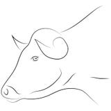 Linea nera testa del toro su fondo bianco Vettore del disegno della mano S royalty illustrazione gratis Linea nera testa del toro su fondo bianco Vettore del disegno della mano S royalty illustrazione gratis