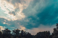Linea superiore degli alberi verdi sopra il cielo immagine stock libera da diritti Linea superiore degli alberi verdi sopra il cielo immagine stock libera da diritti