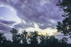 Linea superiore degli alberi verdi sopra il cielo immagini stock Linea superiore degli alberi verdi sopra il cielo immagini stock