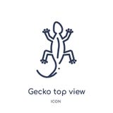 Lineair de vormpictogram van de gekko hoogste mening van de inzameling van het Cultuuroverzicht De dunne vector van de de menings stock illustratie Lineair de vormpictogram van de gekko hoogste mening van de inzameling van het Cultuuroverzicht De dunne vector van de de menings stock illustratie