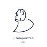 Linear chimpanzee icon from Animals outline collection. Thin line chimpanzee icon isolated on white background. chimpanzee trendy vector illustration Linear chimpanzee icon from Animals outline collection. Thin line chimpanzee icon isolated on white background. chimpanzee trendy vector illustration