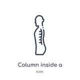 Linear column inside a male human body in side view icon from Human body parts outline collection. Thin line column inside a male royalty free illustration Linear column inside a male human body in side view icon from Human body parts outline collection. Thin line column inside a male royalty free illustration