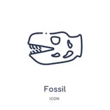 Linear fossil icon from History outline collection. Thin line fossil icon isolated on white background. fossil trendy illustration vector illustration Linear fossil icon from History outline collection. Thin line fossil icon isolated on white background. fossil trendy illustration vector illustration