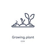 Linear growing plant icon from Ecology outline collection. Thin line growing plant vector isolated on white background. growing royalty free illustration Linear growing plant icon from Ecology outline collection. Thin line growing plant vector isolated on white background. growing royalty free illustration