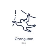Linear orangutan icon from Animals and wildlife outline collection. Thin line orangutan vector isolated on white background. vector illustration Linear orangutan icon from Animals and wildlife outline collection. Thin line orangutan vector isolated on white background. vector illustration