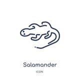 Linear salamander icon from Animals outline collection. Thin line salamander icon isolated on white background. salamander trendy stock illustration Linear salamander icon from Animals outline collection. Thin line salamander icon isolated on white background. salamander trendy stock illustration