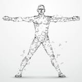 Lines connected to Human body. stock illustration Lines connected to Human body. stock illustration