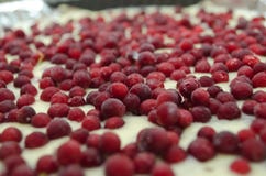 lingonberries congelados en una pasta de empanada fotos de archivo lingonberries congelados en una pasta de empanada fotos de archivo