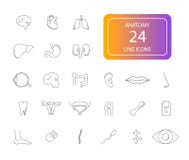Linha ícones ajustados Bloco da anatomia ilustração do vetor Linha ícones ajustados Bloco da anatomia ilustração do vetor