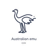 Liniowa australijska emu ikona od kultura konturu kolekcji Cienieje kreskowego australijskiego emu wektor odizolowywającego na bi royalty ilustracja Liniowa australijska emu ikona od kultura konturu kolekcji Cienieje kreskowego australijskiego emu wektor odizolowywającego na bi royalty ilustracja