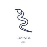 Linjär crotalussymbol från ökenöversiktssamling Tunn linje crotalusvektor som isoleras på vit bakgrund moderiktig crotalus stock illustrationer Linjär crotalussymbol från ökenöversiktssamling Tunn linje crotalusvektor som isoleras på vit bakgrund moderiktig crotalus stock illustrationer