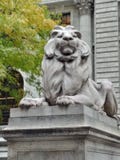 Lion de NYPL image stock Lion de NYPL image stock