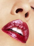 Lips royalty free stock photo Lips royalty free stock photo