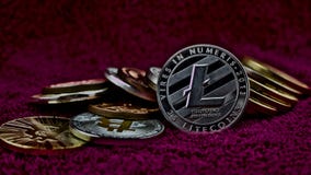 litecoin cost