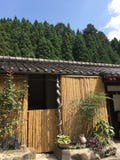 Liten bambukoja och att sörja träd skog, Kyoto i sommar arkivfoton Liten bambukoja och att sörja träd skog, Kyoto i sommar arkivfoton