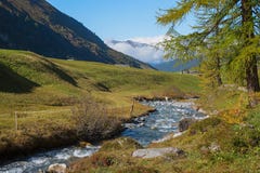 Liten bäck i de schweiziska fjällängarna arkivbilder Liten bäck i de schweiziska fjällängarna arkivbilder