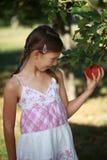 Liten flicka som har en aptit för ett äpple royaltyfri bild Liten flicka som har en aptit för ett äpple royaltyfri bild