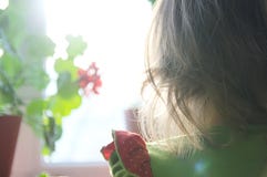 Liten flickabaksidasikt som ser utanför fönstret glödande solsken för krullningshår royaltyfria bilder Liten flickabaksidasikt som ser utanför fönstret glödande solsken för krullningshår royaltyfria bilder