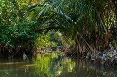 Liten kanal i den Mekong deltan fotografering för bildbyråer Liten kanal i den Mekong deltan fotografering för bildbyråer