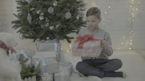 Liten lycklig upphetsad ask för gåva för gåva för pojkeöppningsjul i dekorerat rum för atmosfär för träd för nytt år festligt stock video Liten lycklig upphetsad ask för gåva för gåva för pojkeöppningsjul i dekorerat rum för atmosfär för träd för nytt år festligt stock video