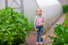 Little adorable girl with the basket of harvest in a greenhouse royalty free stock photography Little adorable girl with the basket of harvest in a greenhouse royalty free stock photography