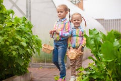 Little adorable girls with the basket of harvest near greenhouse royalty free stock image Little adorable girls with the basket of harvest near greenhouse royalty free stock image