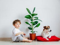 Little Baby Boy With Plant And Dog Sitting On A Floor Royalty Free Stock Image