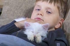 Little boy kissing a white fluffy cat on the couch royalty free stock photos Little boy kissing a white fluffy cat on the couch royalty free stock photos