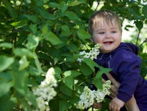 Little Boy Na Zielonym tle fotografia stock Little Boy Na Zielonym tle fotografia stock